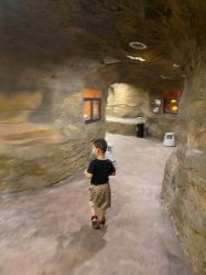 点击看大图 -酷嗒动物文化乐园(cutezoo西溪乐天城店)