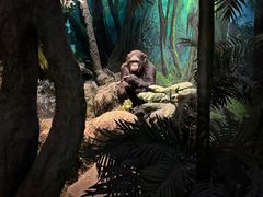 -国家自然博物馆