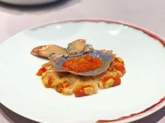 -子福慧(虹桥店)