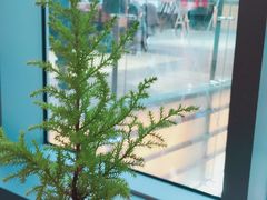 -Moka Bros 摩卡站(西单大悦城店)