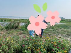 -七的湖·晚芳亭·阳澄湖农家菜·大闸蟹(莲花岛店)