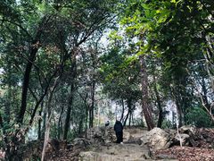 -岳麓山风景名胜区