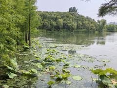 -昆山城市生态森林公园