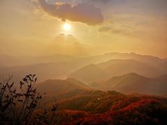 -天女山森林公园