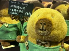 -首开·龙湖成都西宸天街