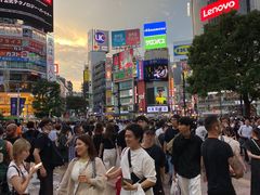 -涩谷区