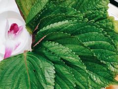 -千纸鹤嫩汁烤肉(西大直街店)