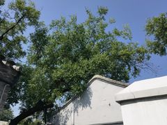 -北京鲁迅博物馆(北京新文化运动纪念馆鲁博馆区)
