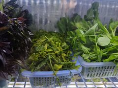 -绿草墩
