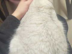 -天鹅到家·保姆月嫂育儿嫂(天河店)