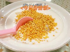 -蜗牛小馆醉乡民谣云南菜(惠新西里店)