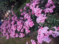 -杭州城北体育公园