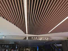 -武商摩尔影城(国广IMAX激光店)
