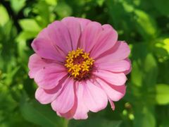 -杜氏旅游度假区