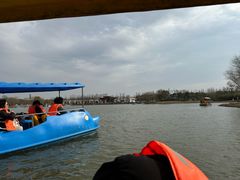 -上海长兴岛郊野公园