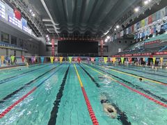 -陕西省游泳跳水馆