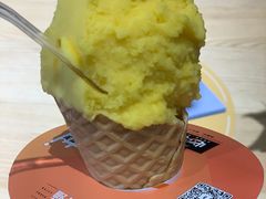 芒果-野人先生现做冰淇淋(北京顺义祥云小镇店)