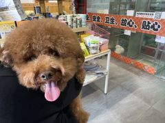 -汤姆宠物(长青北路店)