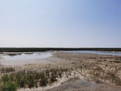 -北海金海湾红树林生态旅游区