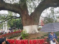-新安江山水画廊风景区
