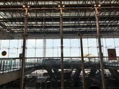 -曼谷素万那普国际机场