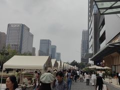 -合景·悠方(成都店)