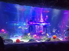 -沈阳海洋探索中心