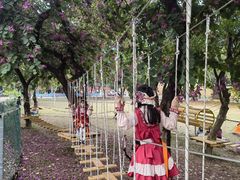-松山湖梦幻百花洲