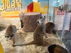 -杭州开元森泊度假乐园