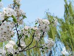 -陕西省西安植物园