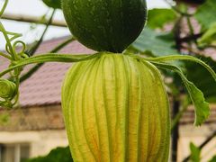 -羊亭河湿地公园