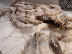-韩盛炭火烤肉(万达广场店)