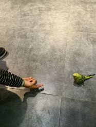 -酷嗒动物文化乐园(cutezoo西溪乐天城店)