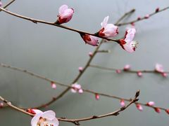 -复兴门(地铁站)