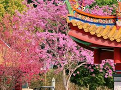 -天竺岩寺