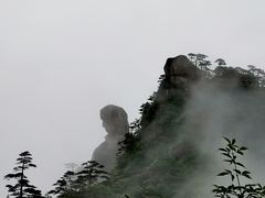 -菜当家