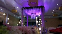 -保定金沙芝柏婚礼策划