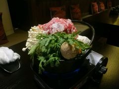 -春草居酒屋·晴子の店
