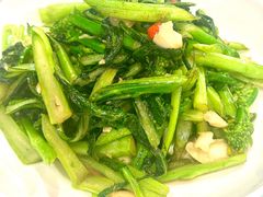生炒菜心-百味饺子城•海鲜家常菜(秦皇岛店)