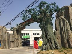 -龙大花卉苗木市场