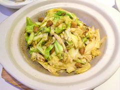 炝炒牛心白-眉州东坡·熊猫主题餐厅(枫蓝店)