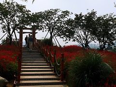 -羊亭河湿地公园