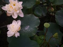 -龙环葡韵住宅式博物馆