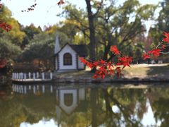 -上海共青森林公园