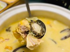 -金龙·打边炉(南京西路店)