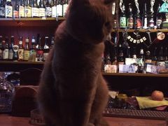-7座啤酒館