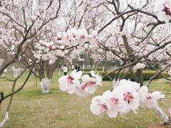 -棒棰岛宾馆景区