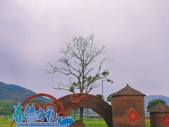 -风云岭森林公园