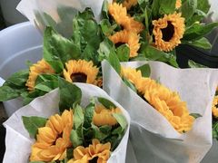 -循礼门鲜花花市(武汉循礼门店)