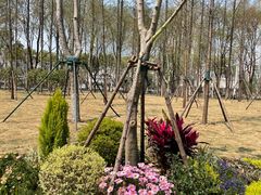 -后襄河公园